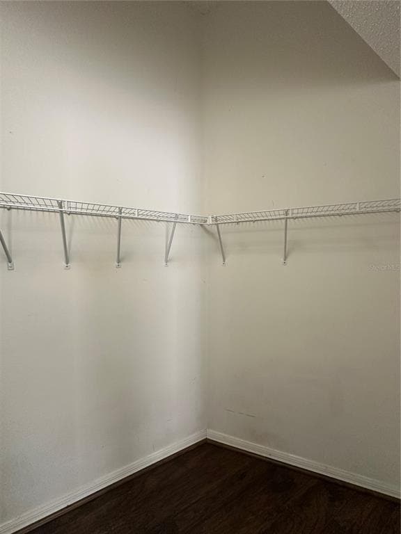 Building Photo - 4320 Northern Dancer Way