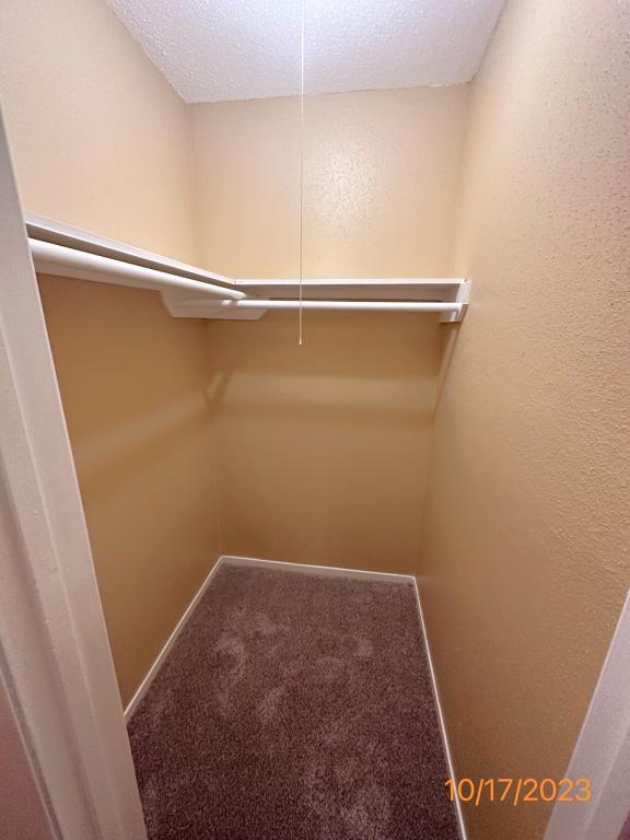 Building Photo - 12210 Roandale Dr