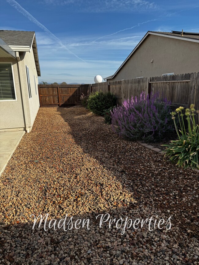 Building Photo - 114 Christian Ave