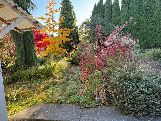 Building Photo - One bedroom in Bow