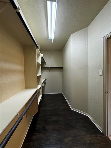 Building Photo - 2604 Triangle Leaf Dr