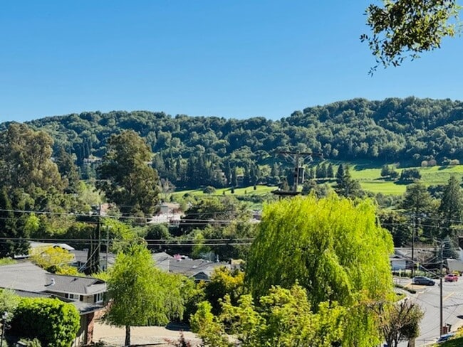 Building Photo - Wonderful single level home in Orinda-available for move-in now!