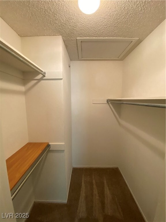 Building Photo - 3157 Pinehurst Dr