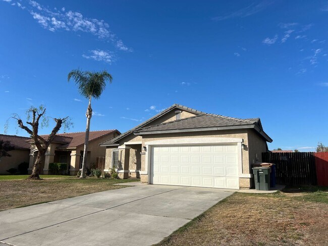 Primary Photo - Available Now