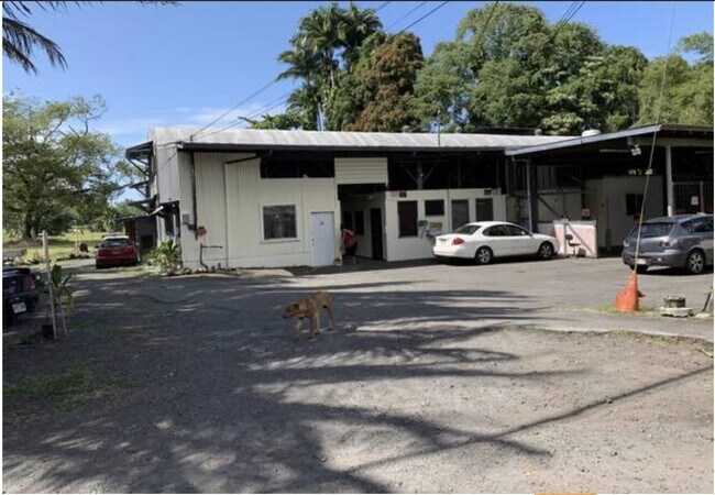 Building Photo - 265 Kekuanaoa St