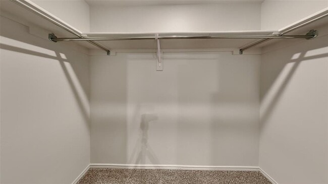 Building Photo - 1825 Spanish Cedar Ln