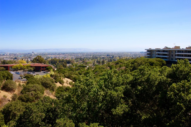 View from some of the apartments. - Oakview