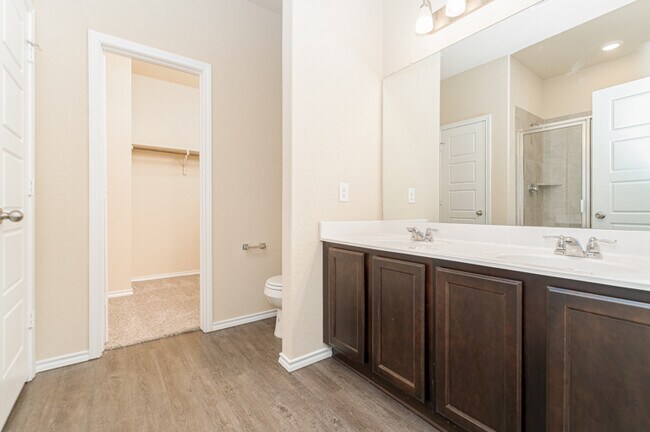 Building Photo - 2020 Cassiopeia Bend