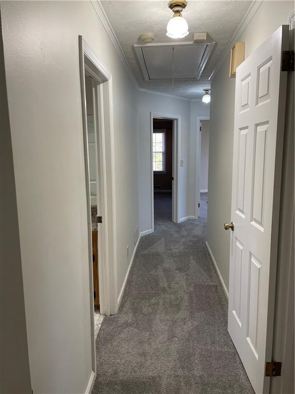 Building Photo - 3633 Loganville Hwy SW