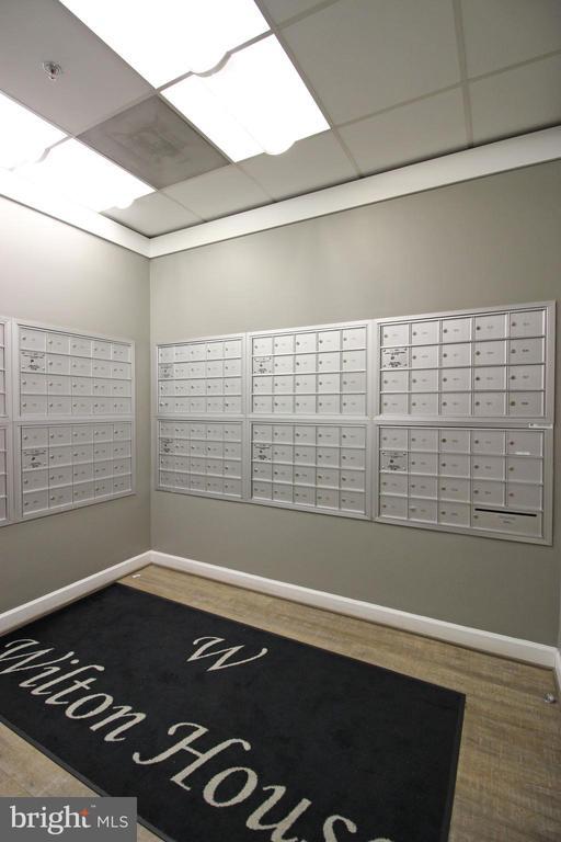 Building Photo - 2726 Gallows Rd