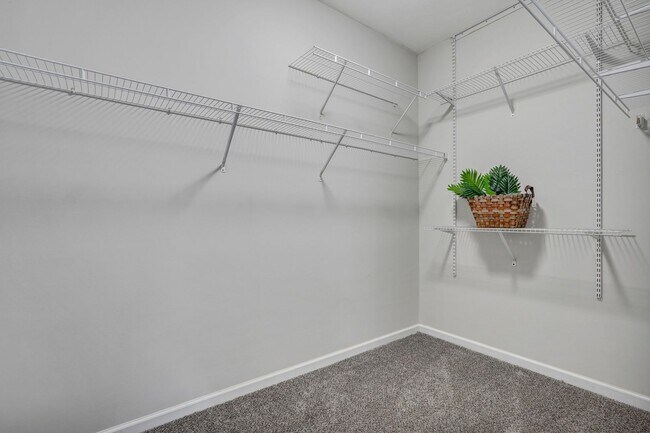 Building Photo - 1 Sunny Ct