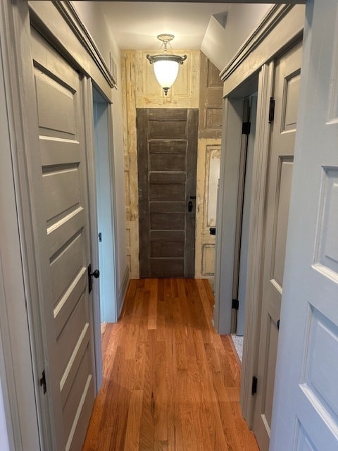 2nd floor hallway - 1295 Kutchins Pl