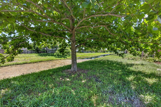 Building Photo - 3943 Roan Ct W