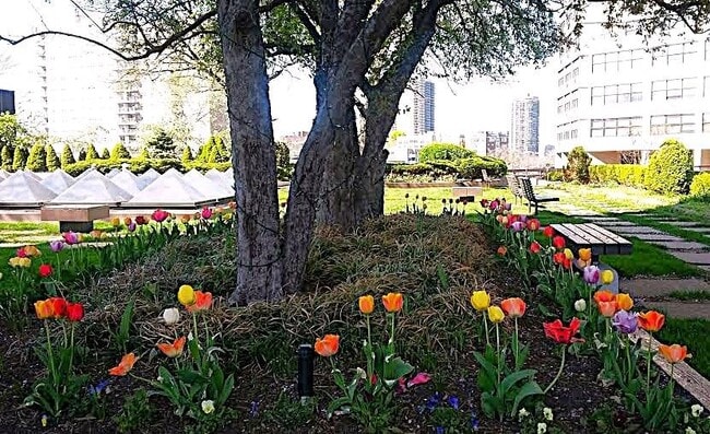 Building Photo - 7002 JFK Blvd E