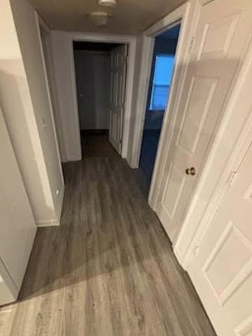 Hallway to laundy room 1st floor with full bath and bedroom - 919 Yeoman Street