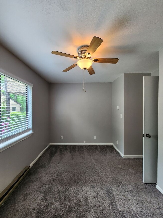 Building Photo - Black Mountain Rental!