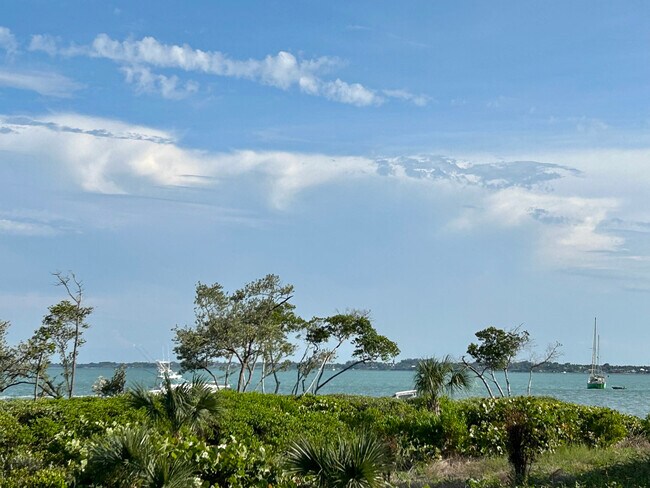 Backyard intracoastal water views from your home - 28 Harbour Isle Dr W