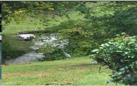 Building Photo - 14 Willow Tree Run