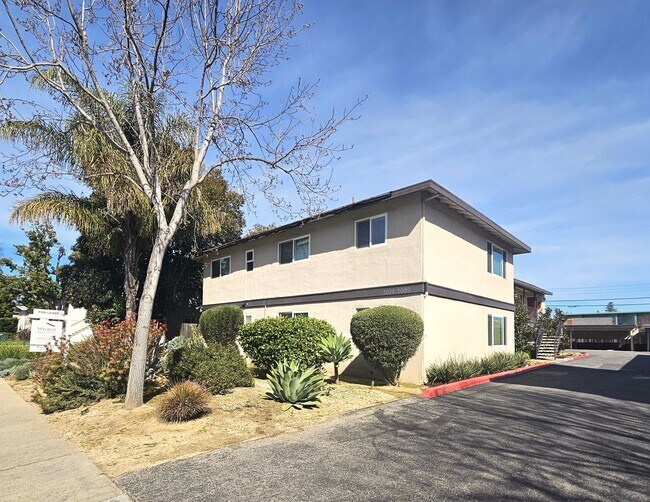 Primary Photo - Updated Top Floor 2 Bedroom/1 Bathroom Apa...