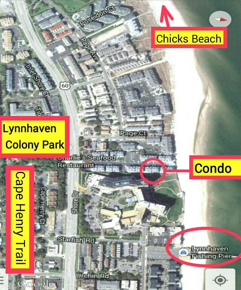 Central Location - 2312 Beach Haven Dr