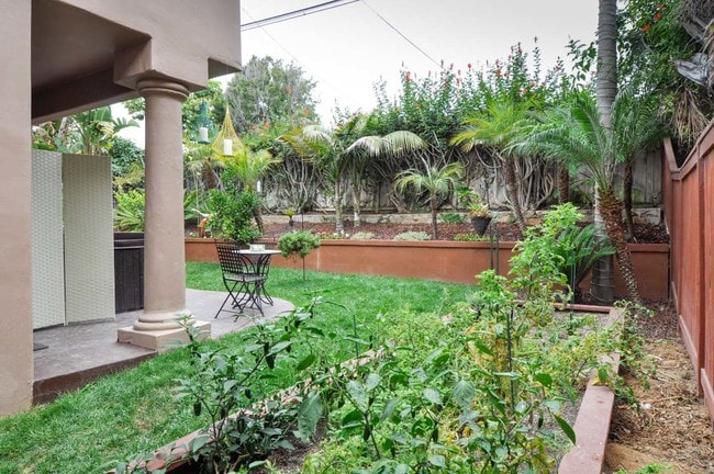 Backyard with Veggies in planter - 2281 Cambridge Ave