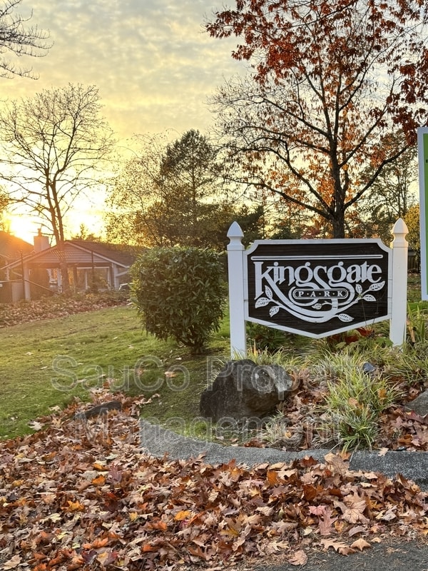 Building Photo - 63 Galen St