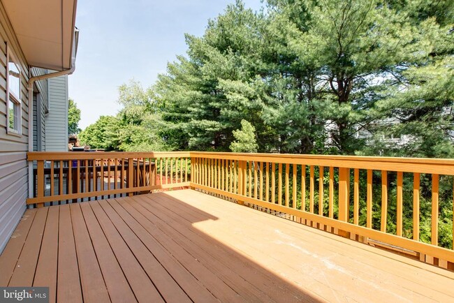 Building Photo - 3274 Halcyon Ct