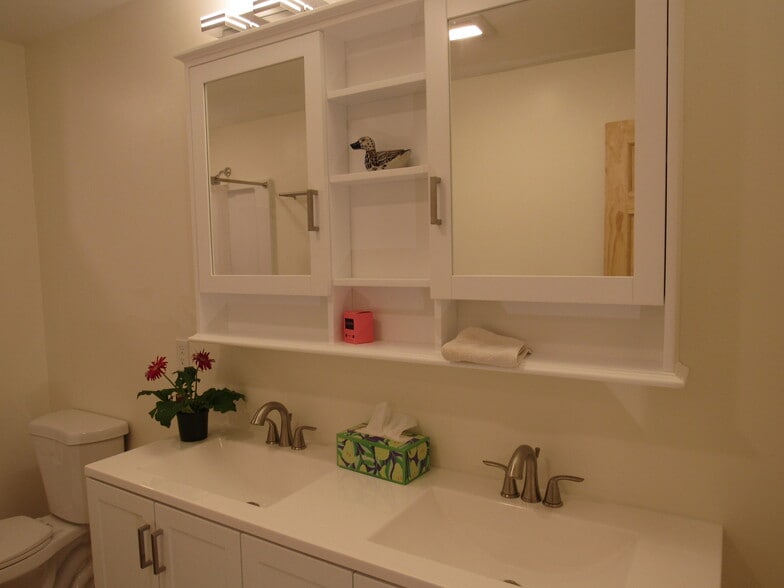 Dual medicine cabinet with even more shelves - 57 River Rd