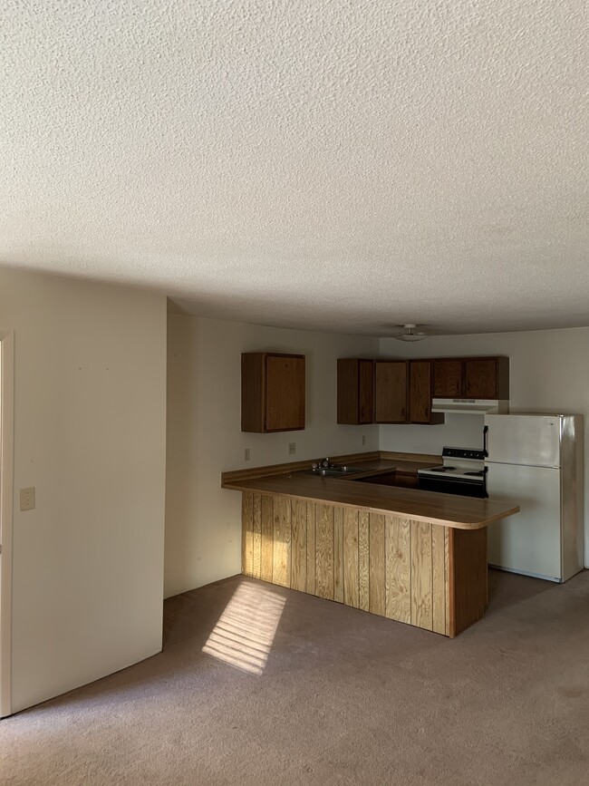 Kitchen - Living Area - 704 N Union St