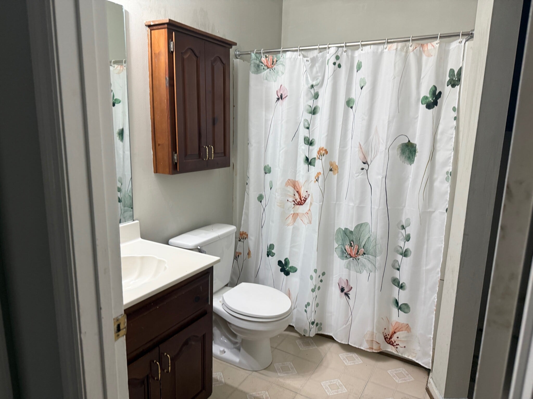 second bathroom - 255 Falcon Dr