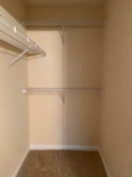 Building Photo - 213 Timberline Ridge Ct