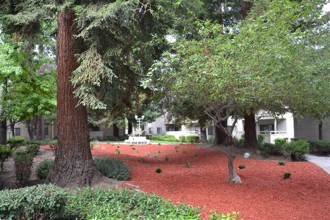 Building Photo - 1420 Foothill Meadows Ct