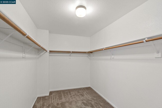 Building Photo - 3200 Puffin Cir