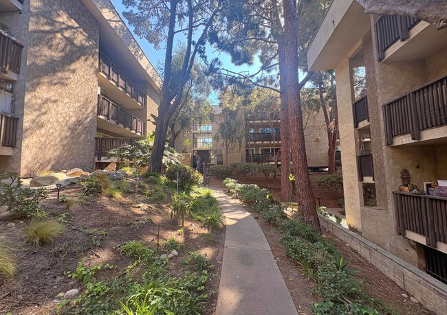 Building Photo - 6416 Friars Rd