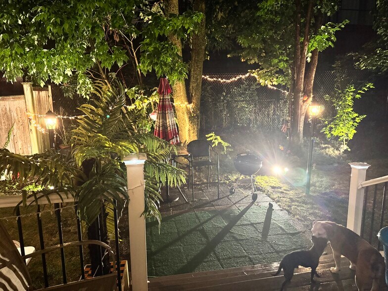 Backyard - 14 Hazelwood St