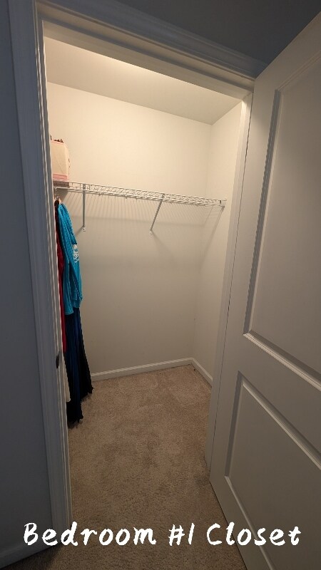 Building Photo - 5320 Shorthorn Wy