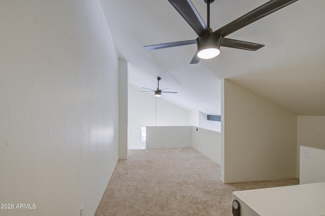 Building Photo - 2019 W Lemon Tree Pl
