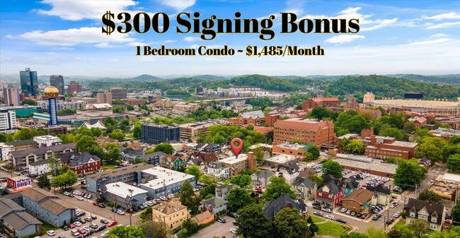 Primary Photo - Upgraded 1BR Condo Near UTK | Walk to UT L...