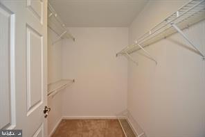 Building Photo - 519 Paoli Pointe Dr