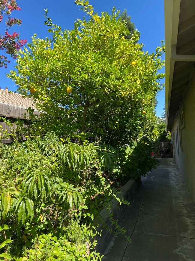 Building Photo - Chelsea Ridge - Broadstone. Walk to park, ...