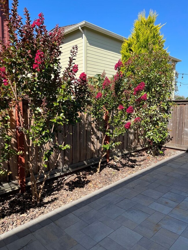 Building Photo - Stunning Executive Style Home in Fremont – Ardenwood Neighborhood!