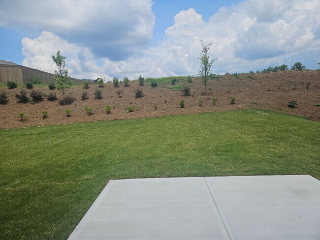 Building Photo - New 5 Bedroom 3 Bath House For Lease Dallas GA