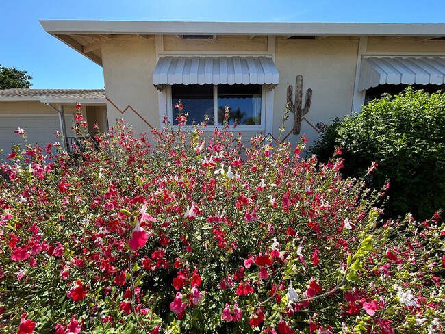 Building Photo - Nice Single Level Home with Attached Garag...