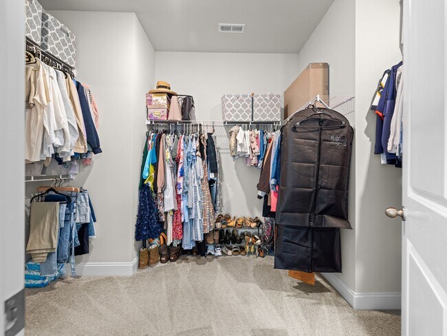 Building Photo - Mimosa Bay Beauty