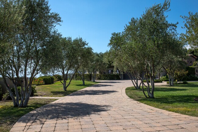 driveway to 4 car garage - 13368 Orions Flight Way