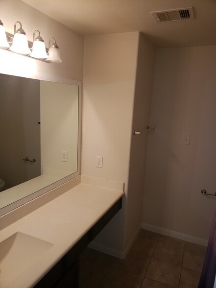 Master Bathroom - 14903 Orchid Meadow Dr