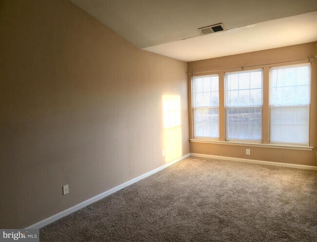 Building Photo - 157 Darling St