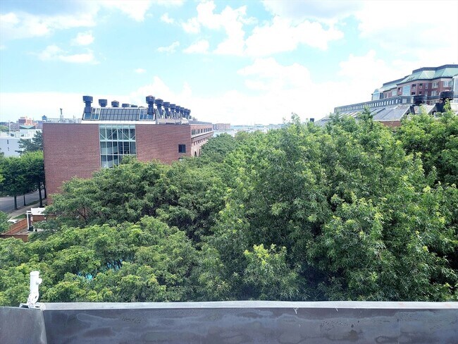 Building Photo - 42 8th St