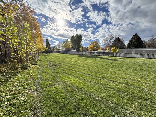 Building Photo - 813 N 15th Ave