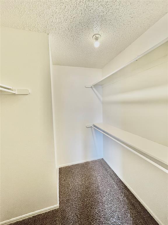 Building Photo - 309 Falcon Ct